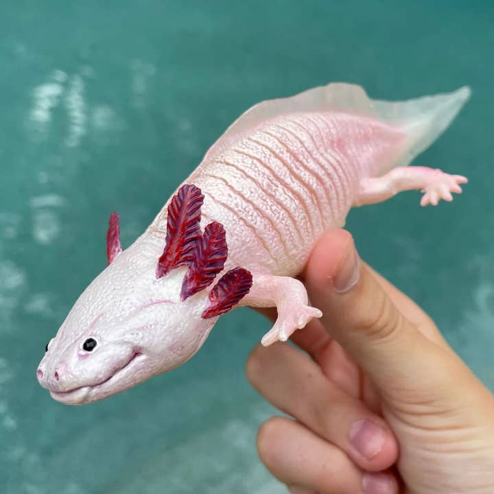 Safari Ltd. - Wholesale Figurine Toy - Kids - Axolotl Figurine Toy1