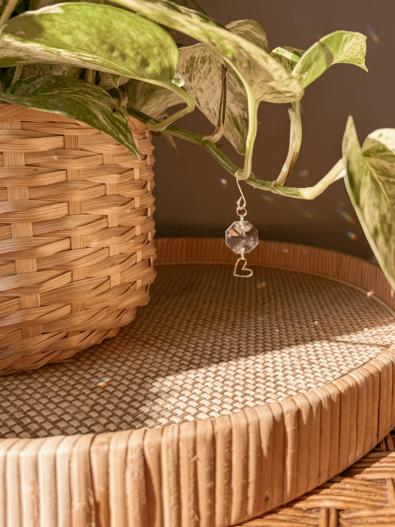 Meraki The Studio Co. - Wholesale Suncatcher - Plant Charm | Suncatcher + Heart | Houseplant Vine Jewelry5