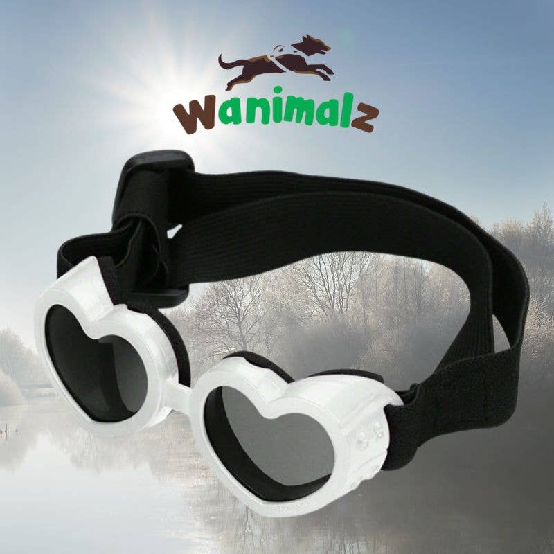 Wanimalz - Wholesale  - Dog glasses | SUNDOG range0