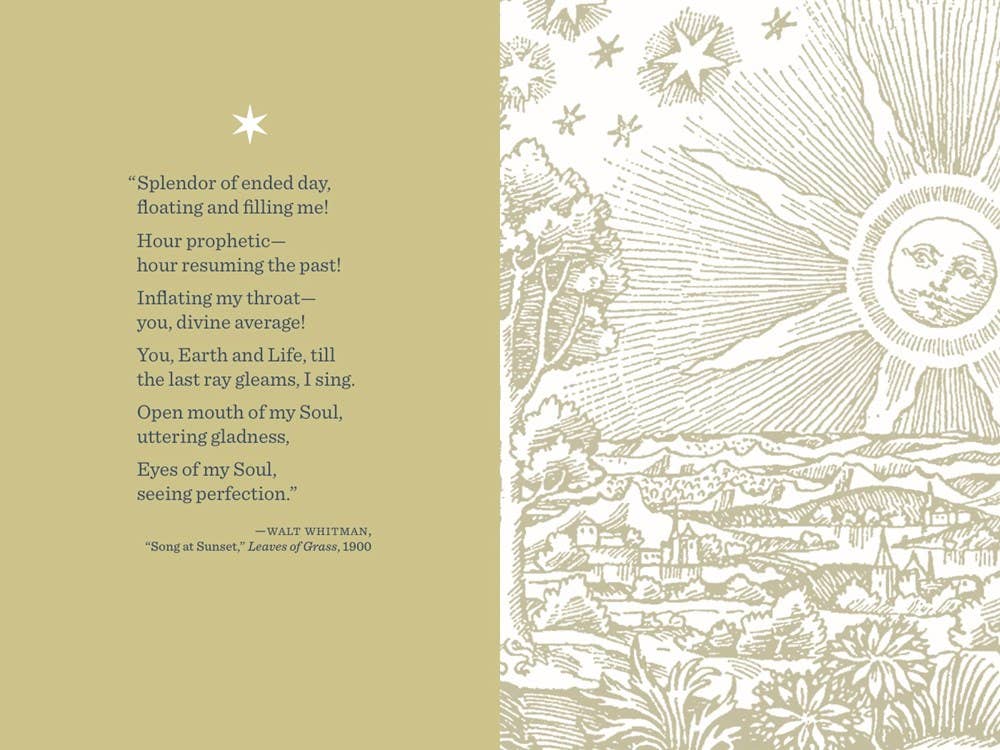 Microcosm Publishing & Distribution - Wholesale Journal/Diary - Sun & Moon Journal: A Three-Year Chronicle1