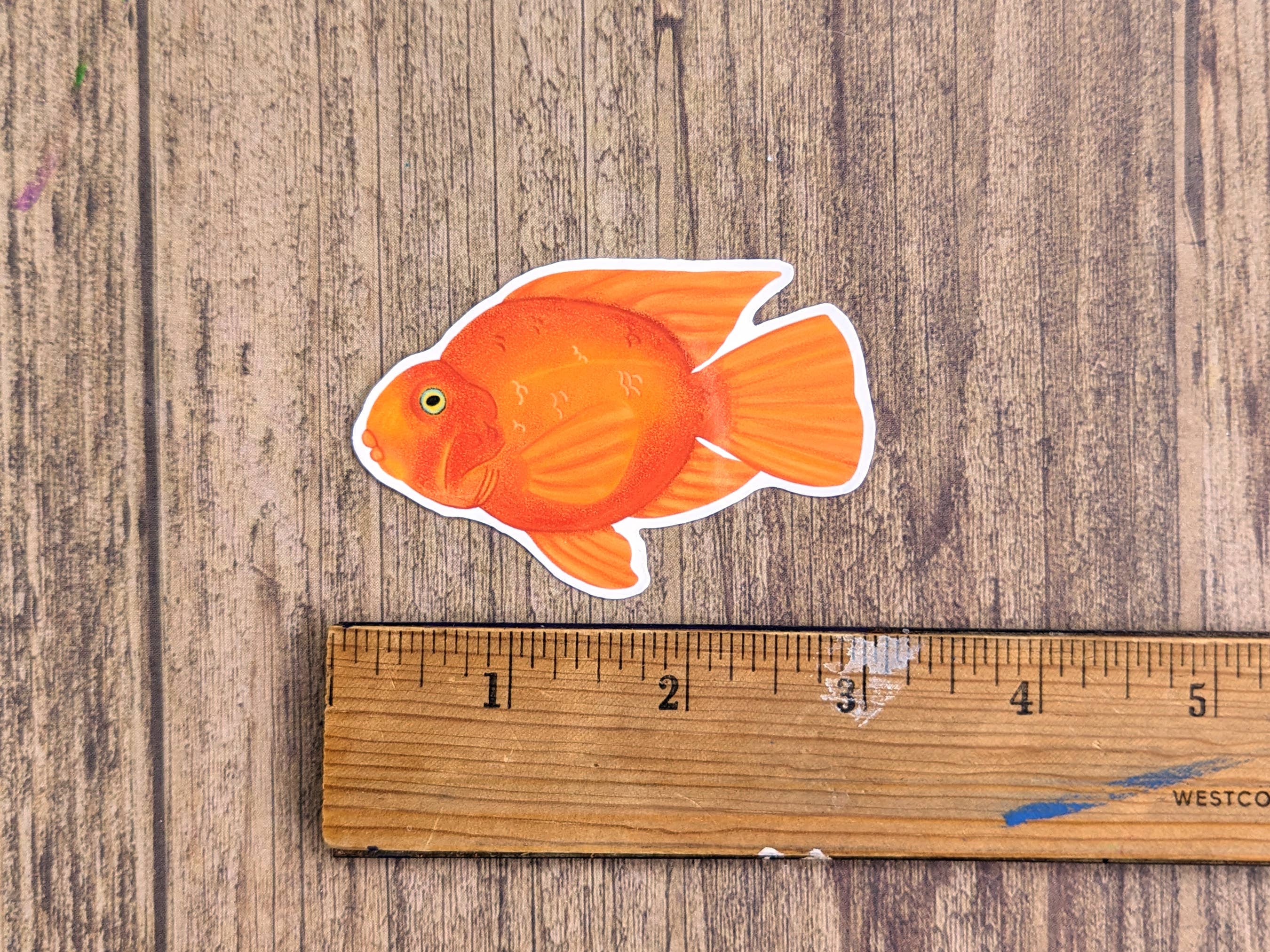 Proper Wolf - Wholesale Sticker - Blood Red Parrot Cichlid Fish Vinyl Sticker Decal2