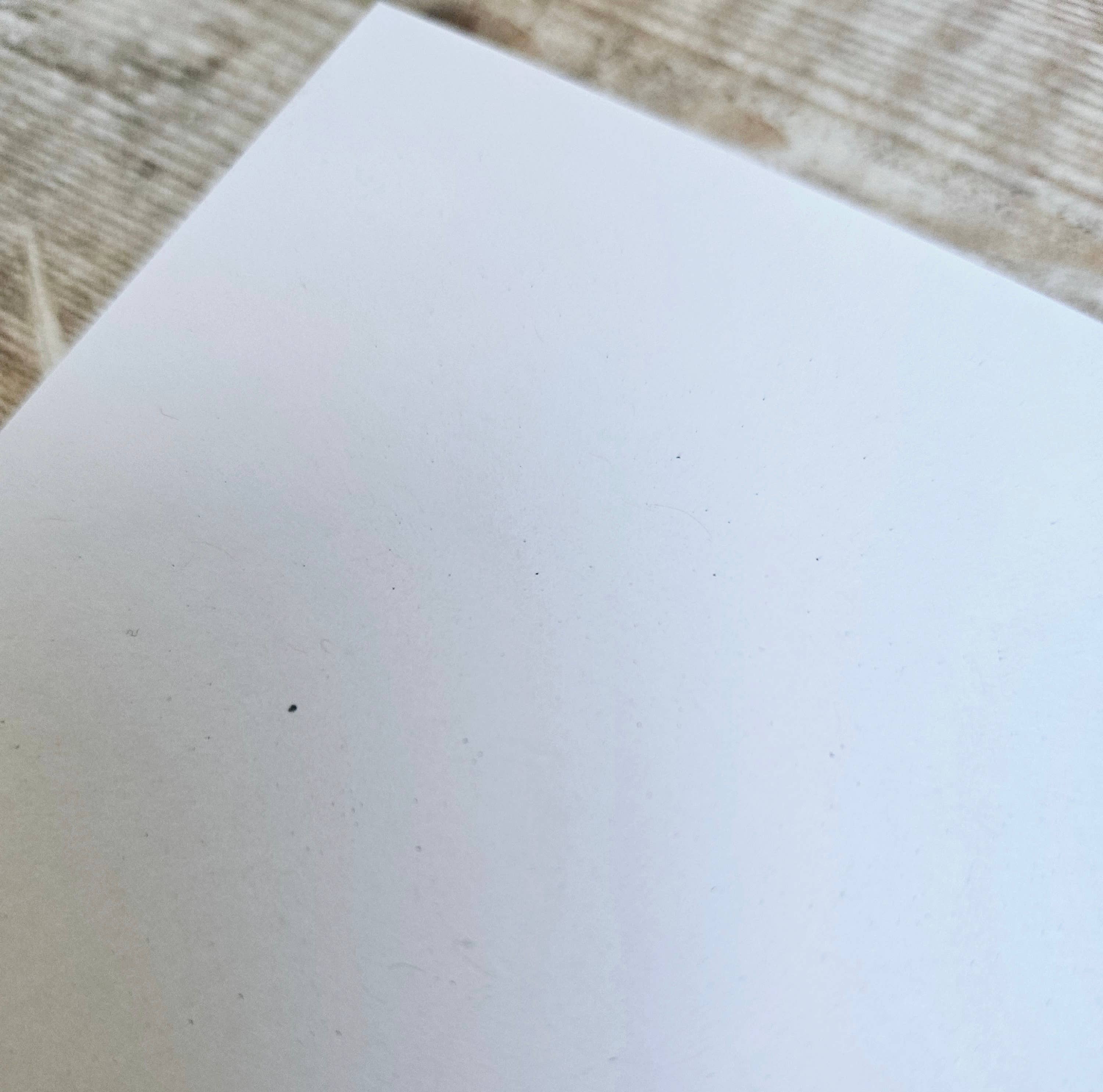 Flotsam Prints - Wholesale Everyday Greeting Card - Together - Single Greetings Card 5