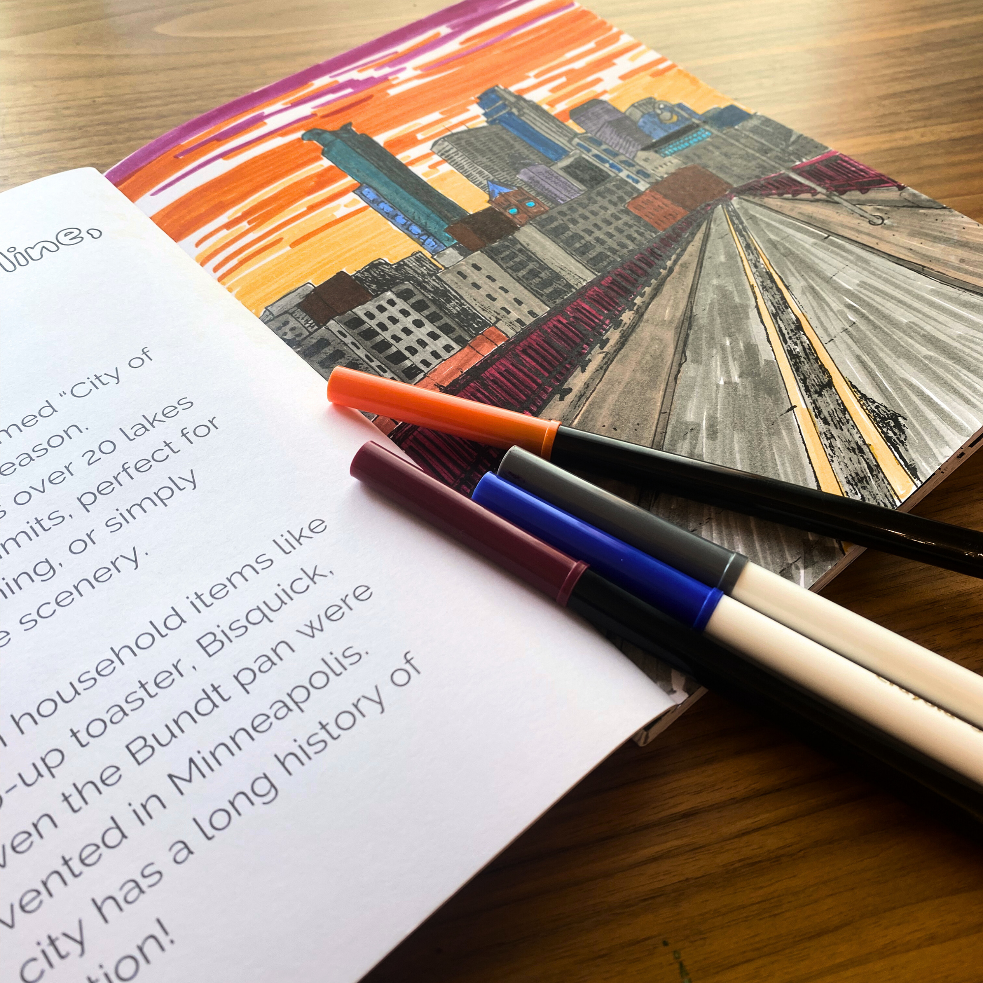 Alyssa Whetstone Art - Wholesale Coloring & Activity Book - Adult - Minnesota Hand-Drawn Coloring Book3