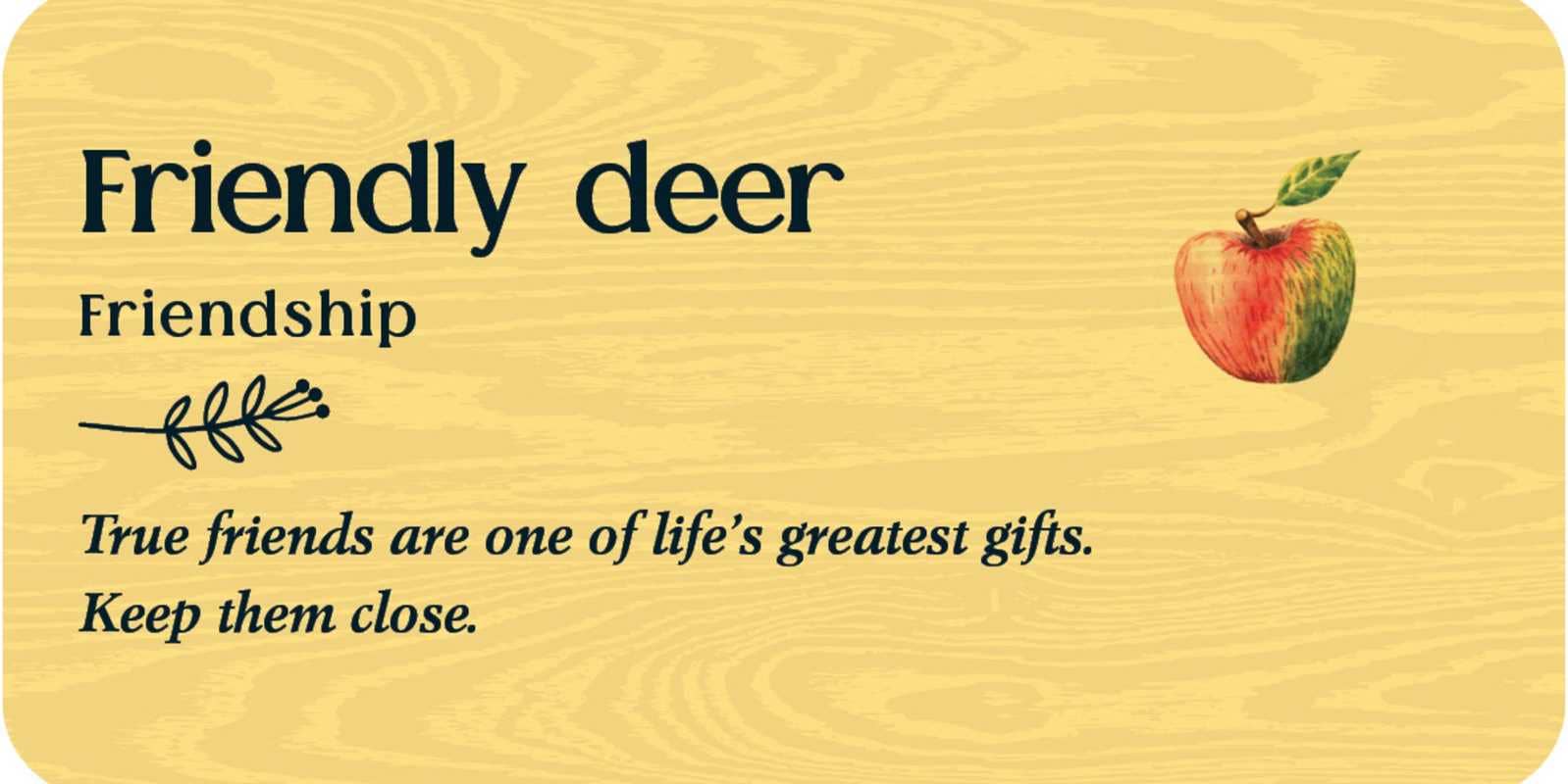 Simon & Schuster - Wholesale Body, Mind & Spirit - Forest Friends by Tijana  Lukovic4