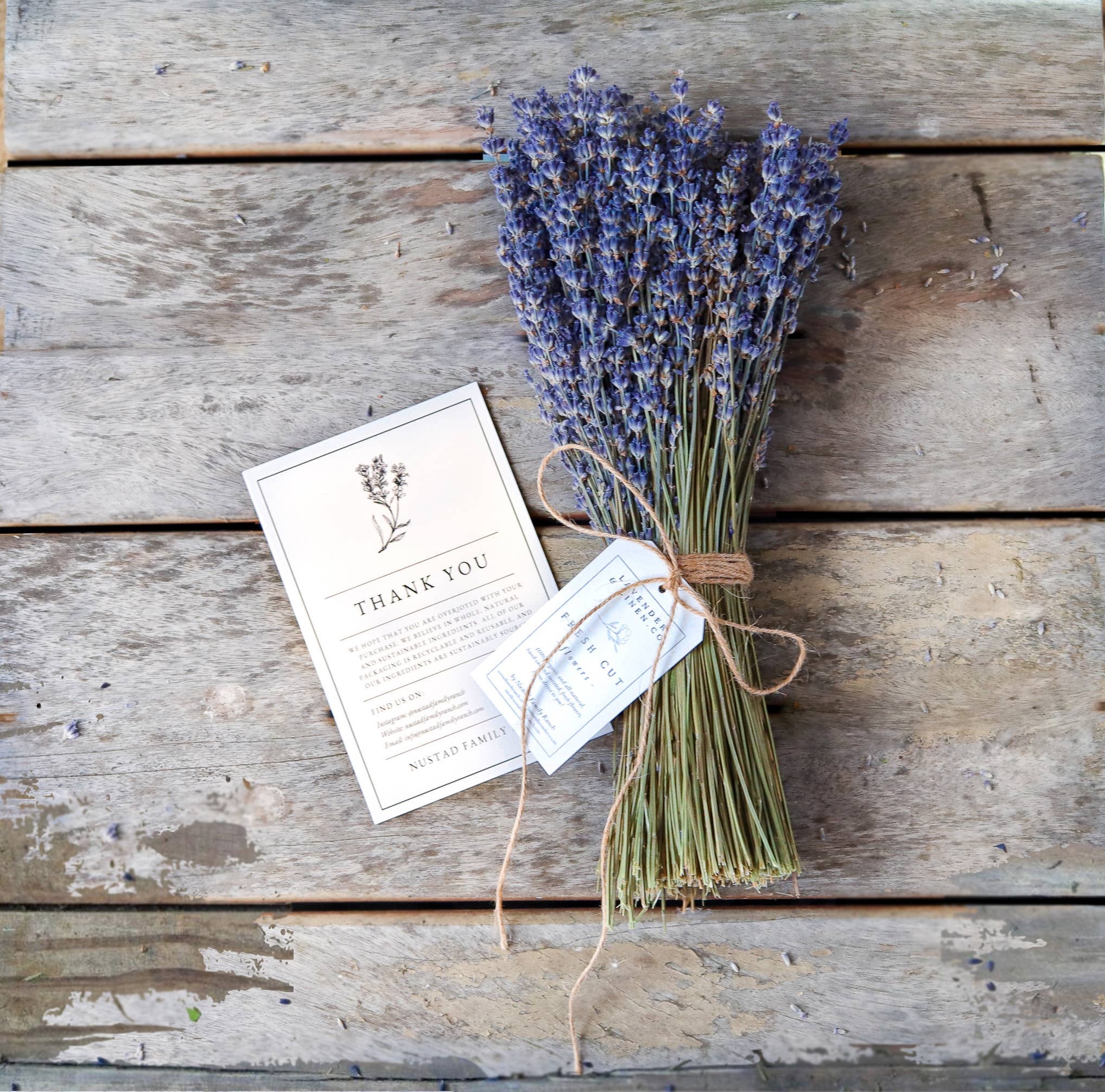 Nustad Family Ranch - Wholesale Dried/Pressed Flowers - Lavender Bunch 350 stems2