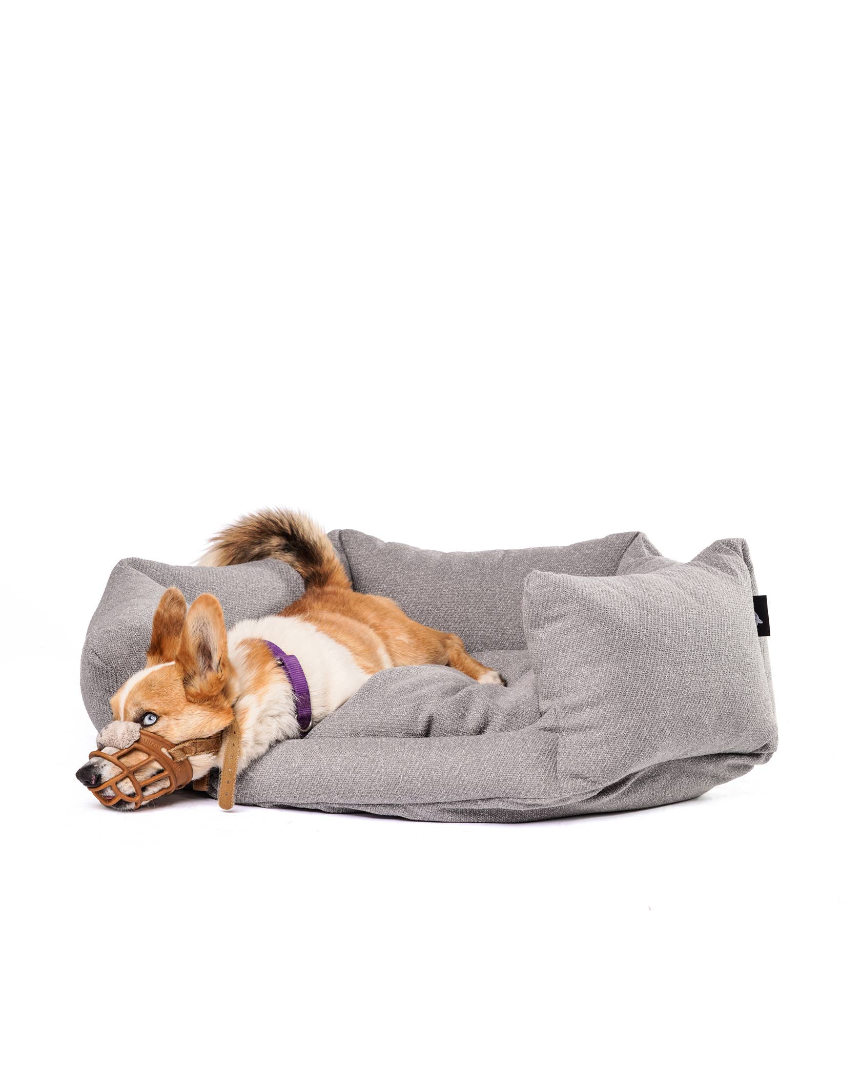 Roxbury PET - Vente Panier – chien - Le Câlineur de Dayton3