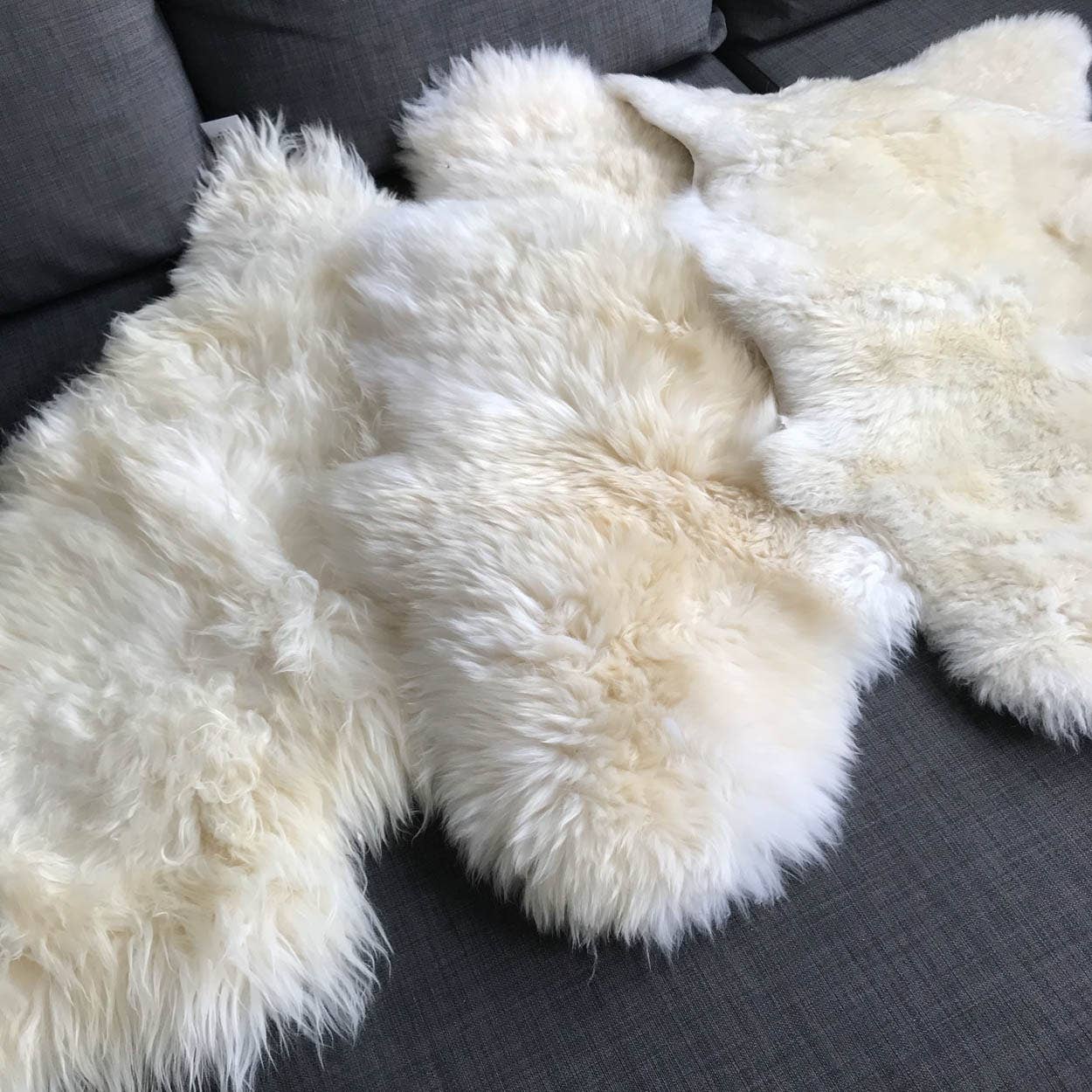 Wildash London - Wholesale Area Rug - British Ivory Cream White Sheepskin Rug - Medium1