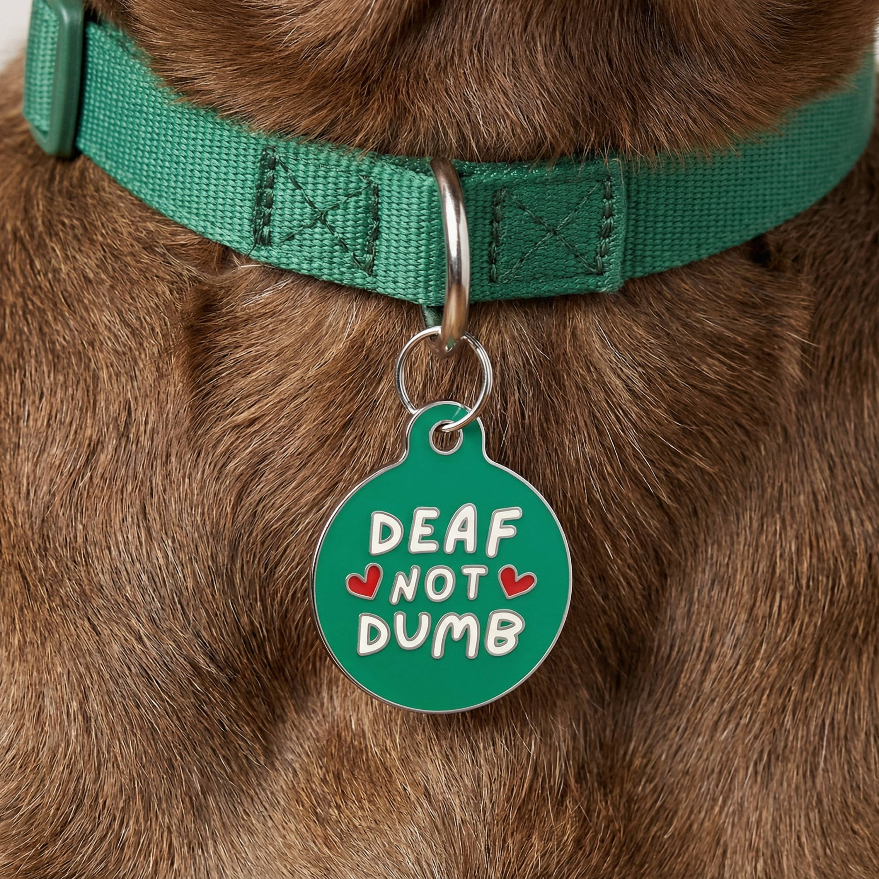 Bad Tags - Vente Médaille pour collier – chien - Médaille pour chien en émail avec ID pour animal scannable - Sourd pas muet2