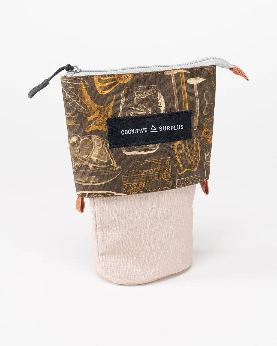 Cognitive Surplus – wholesale Pencil case/pouch – Dinosaur Zipper Bags (Case of 6)2