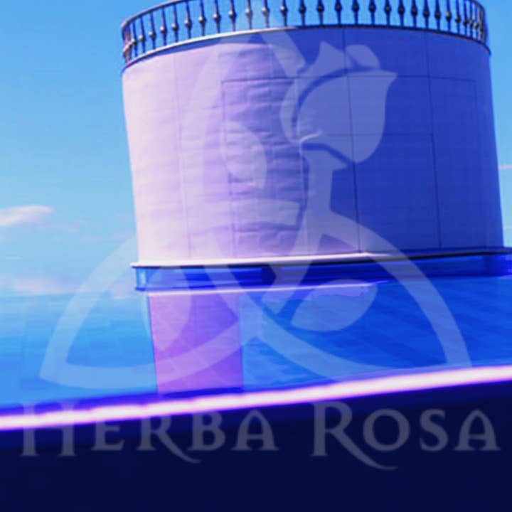 Herba Rosa – Engroshandel Tarotkort – LIMINAL SPACE TAROT dæk | Baseret på Rider-Waite-Smith Deck6