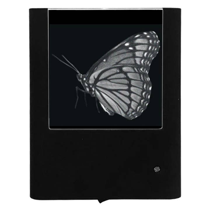 Engraved Butterfly for wholesale by Nightlight Studio