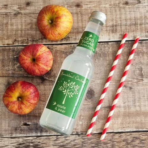 Breckland Orchard – wholesale Soda/carbonated drink – Zero Sugar Apple and Pear Posh Pop 12 x 275ml