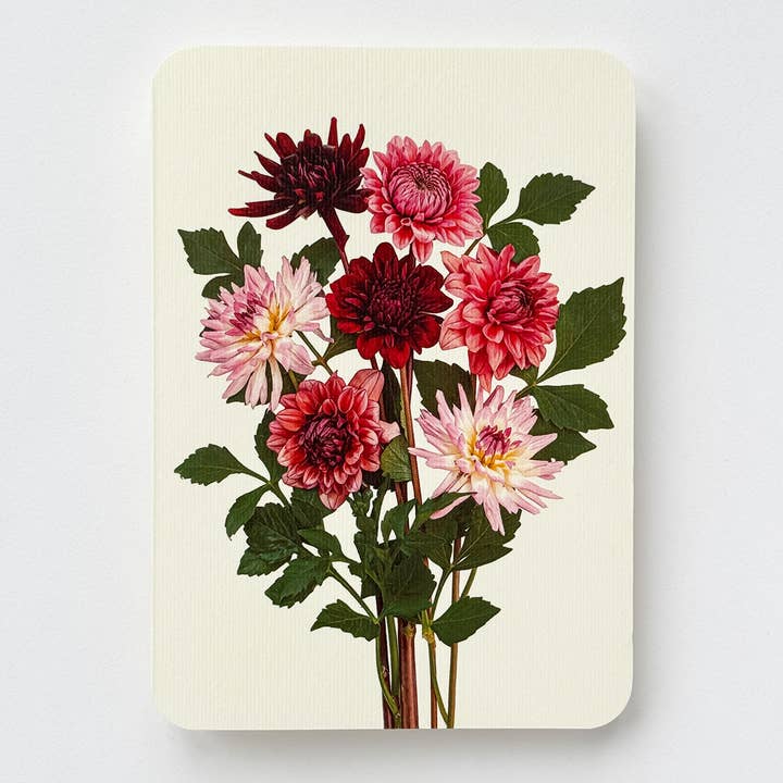 Garden Dahlias Greeting Card | Birthday Card | Luxury Cards and other Purchase Wholesale dahlia press. Free Returns & Net 60 Terms on Faire trending on Faire.