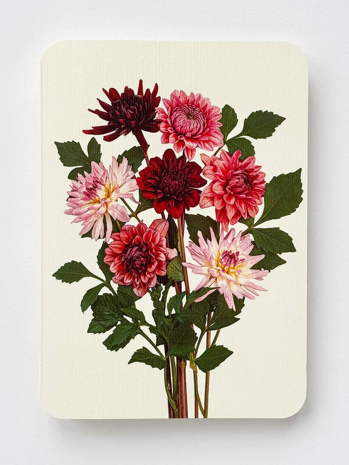 Garden Dahlias Greeting Card | Birthday Card | Luxury Cards for wholesale by Canonbury Press