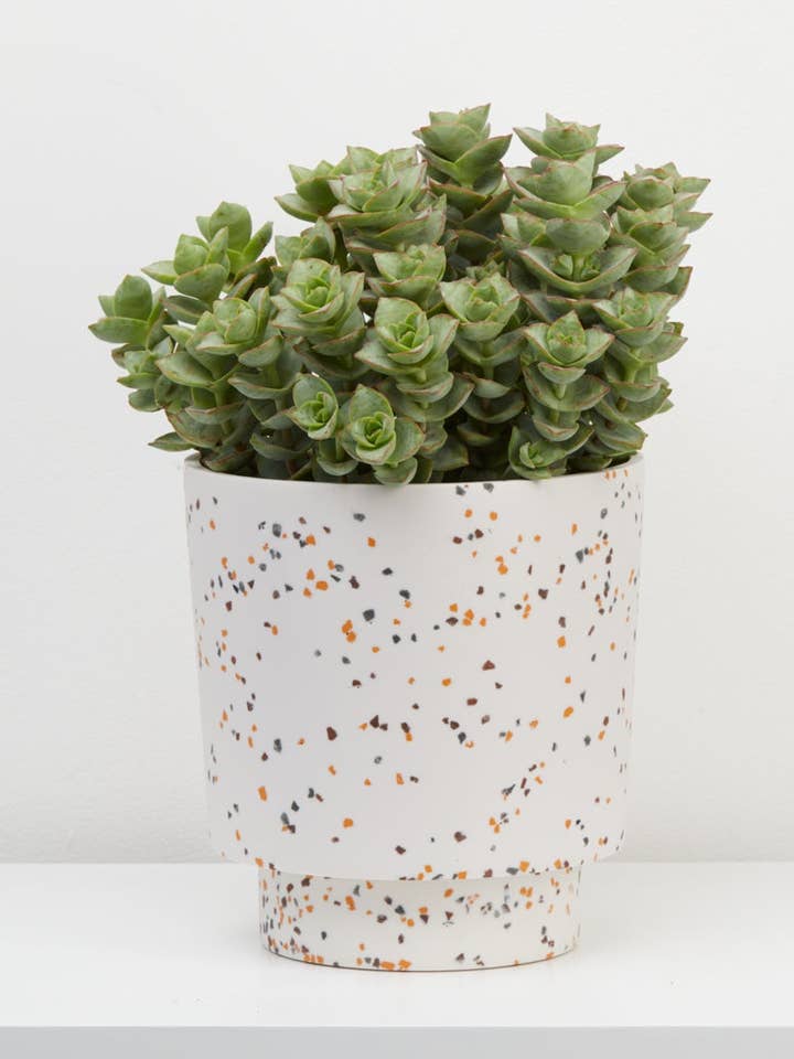 Panela de Banjo Terrazzo - White Terrazzo por atacado de Capra Designs (Aus + NZ)