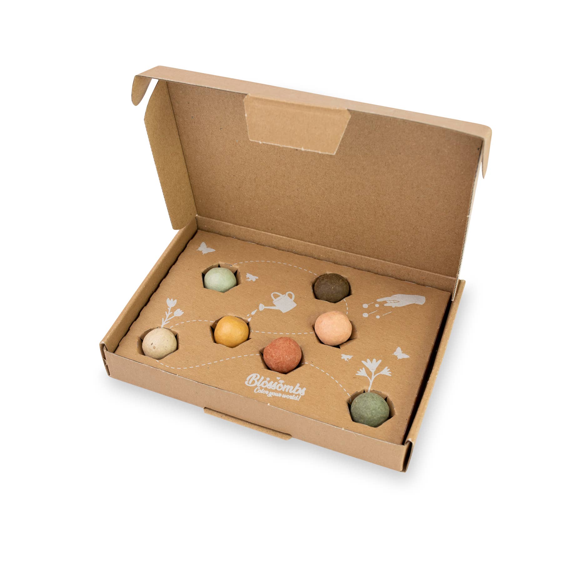 Buzzy Seeds Grow Gifts - Wholesale Plant Seeds - Small “Dear Teacher” Seed Bomb Box – 7 Wildflower Gift Balls7