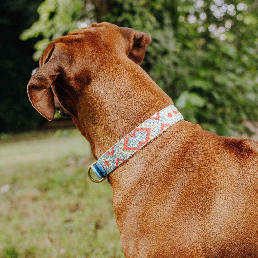Hey Lana - Wholesale Pet Collar - Dog - Premium padded dog collar6