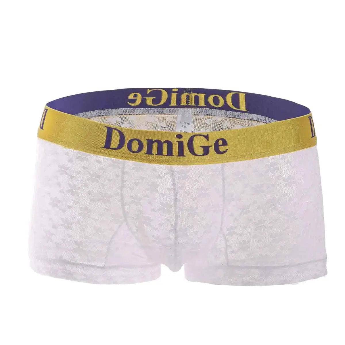 DomiGe – Großhandel Unterwäsche – Herren – Herrenhose aus transparentem Netzstoff mit stilvollem Logo-Bund — ultimativer Komfort und verführerische Herrenunterwäsche8