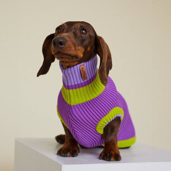 VIOLA SPRING THE GLOW JUMPER - Neon Dog Sweater - (Viola Spring) for wholesale on Faire4