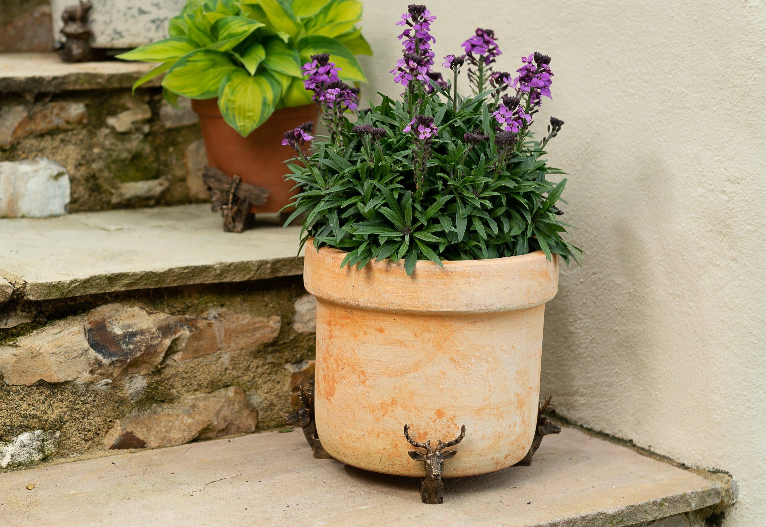 Jardinopia US - Wholesale Plant Pot Stand - Stag Plant Pot Feet - Set of 31