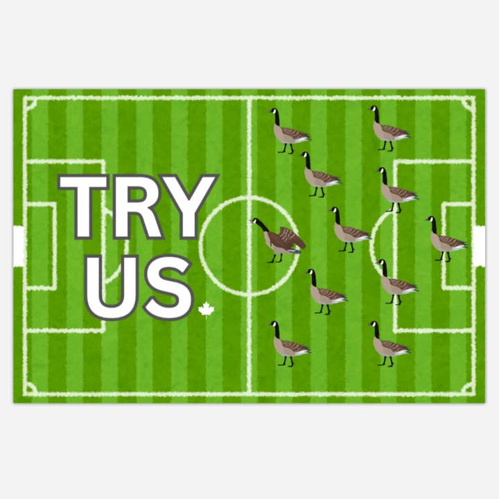 Gansos Jugando al Fútbol Postal para venta al por mayor de Pleasant Papercraft