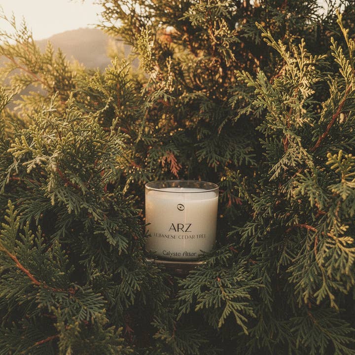 ARZ for wholesale by calysto attar