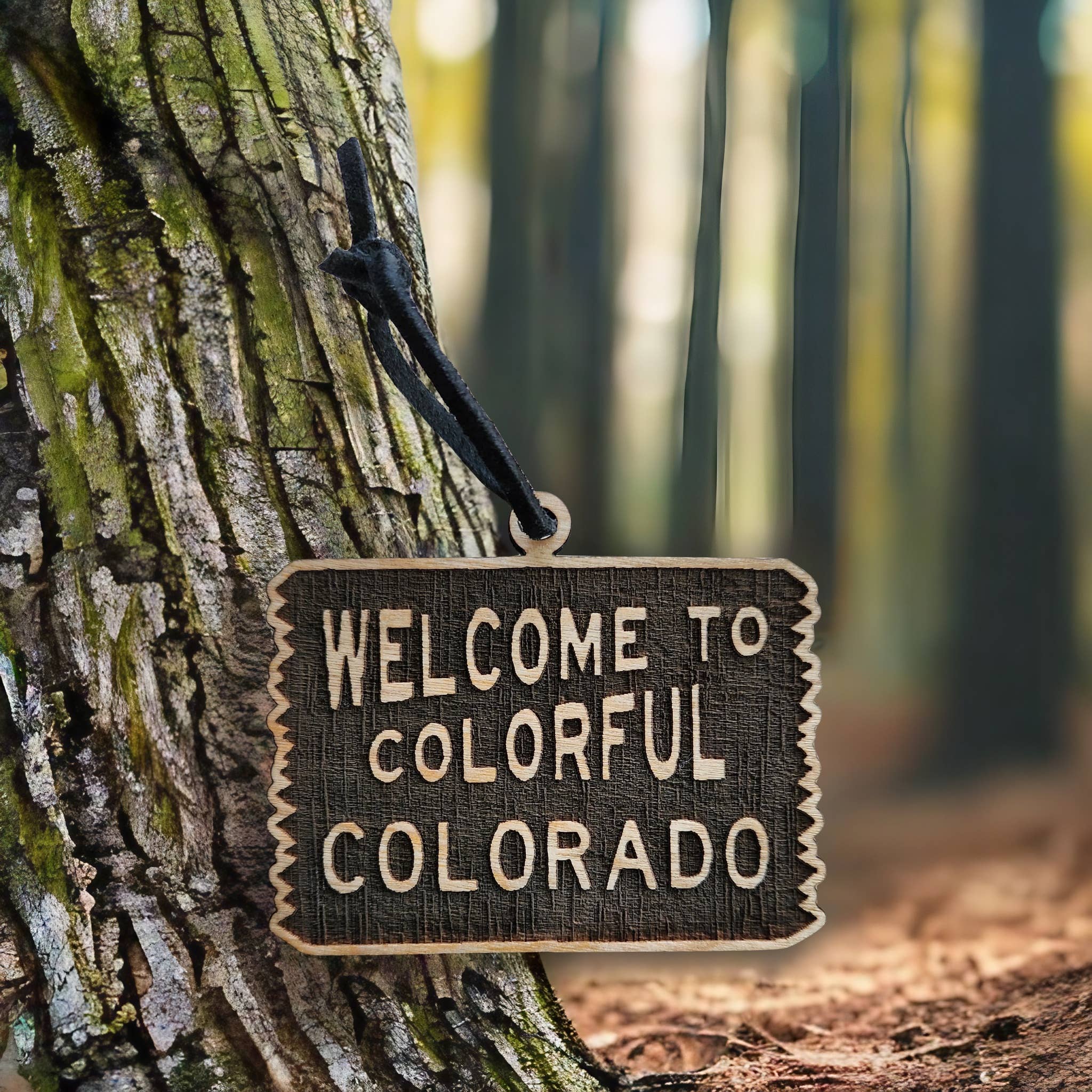 Sherwood – wholesale Ornament – Welcome to Colorado | Wooden Ornament - Birch1