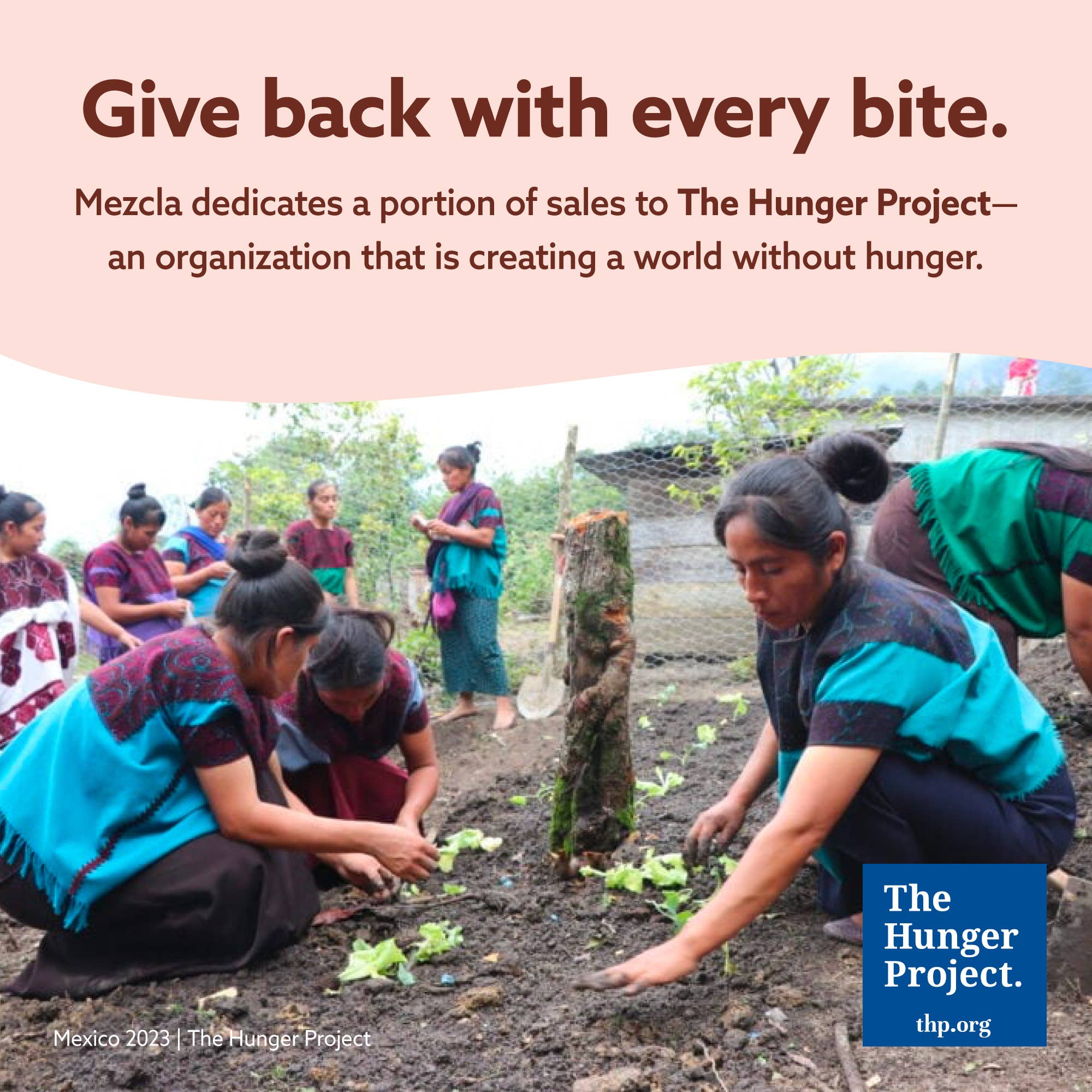 Mezcla - Wholesale Snack Bar - Hot Chocolate 12 Bar Pack ($1.73 / Bar)10