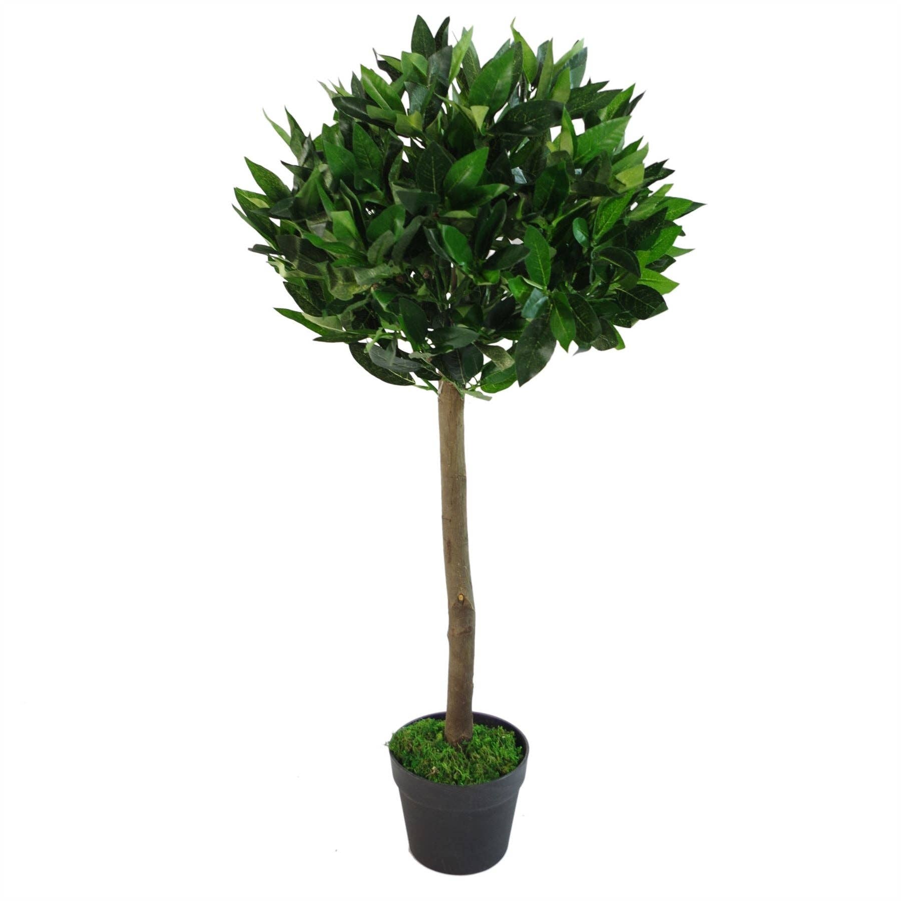 Leaf Design UK LTD – wholesale Artificial plant – Bay Laurel Trees Large Statement Entrance Trees0