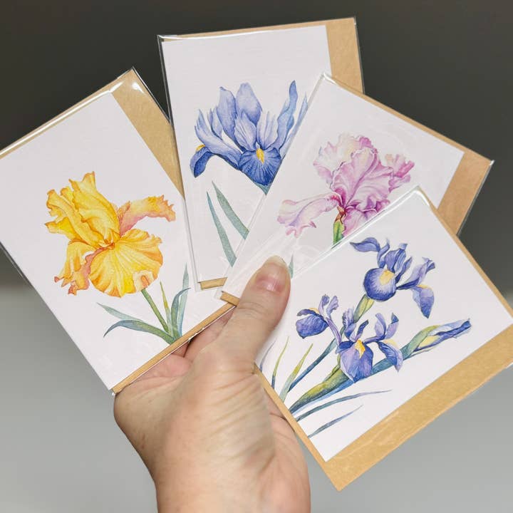 Scattered Seed Co - Wholesale Stationery/notecard set - IRIS greeting cards set of 4 Mini or Regular size