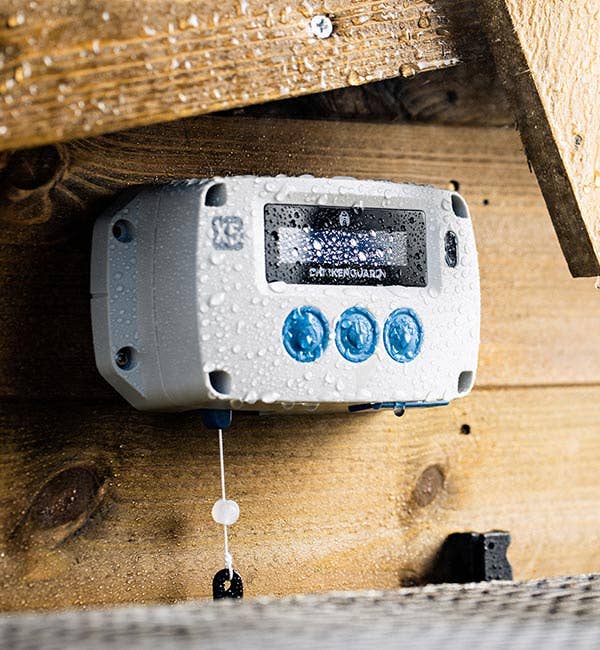 My Favorite Chicken - Wholesale Bird Swing/Toy - ChickenGuard Automatic Coop Door Opener & Self-Locking Door3