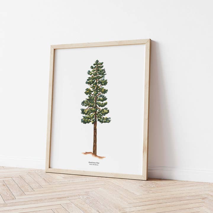 Watercolor Wednesday - Wholesale Art Print - Tree Art Print | Watercolor Ponderosa Pine Nature Wall Art1