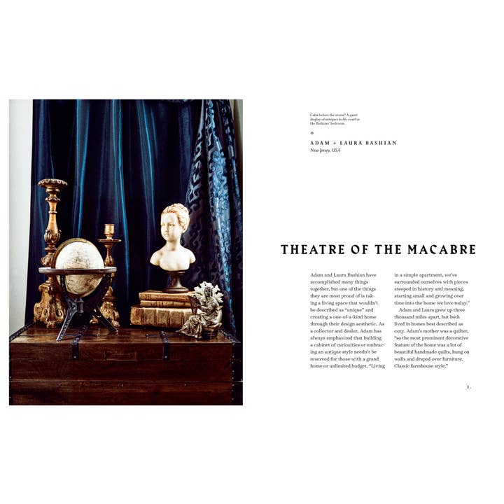 Hachette Book Group - Wholesale Home & Garden - The Art of Gothic Living: Dark Decor for the Modern Macabre3