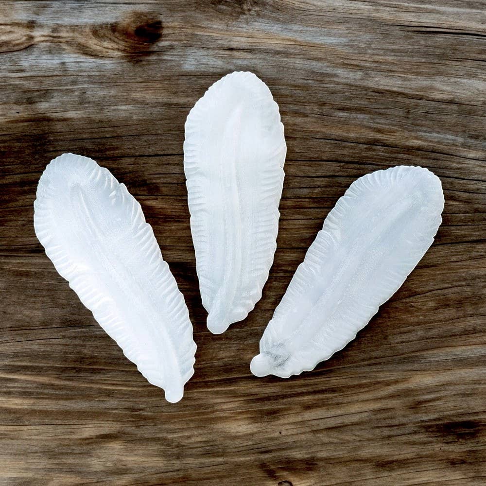 Crystolver (We Cover All Import Fees) - Vendita all'ingrosso Pietra/cristallo spirituale - Cristallo di Selenite Naturale a Forma di Piuma1
