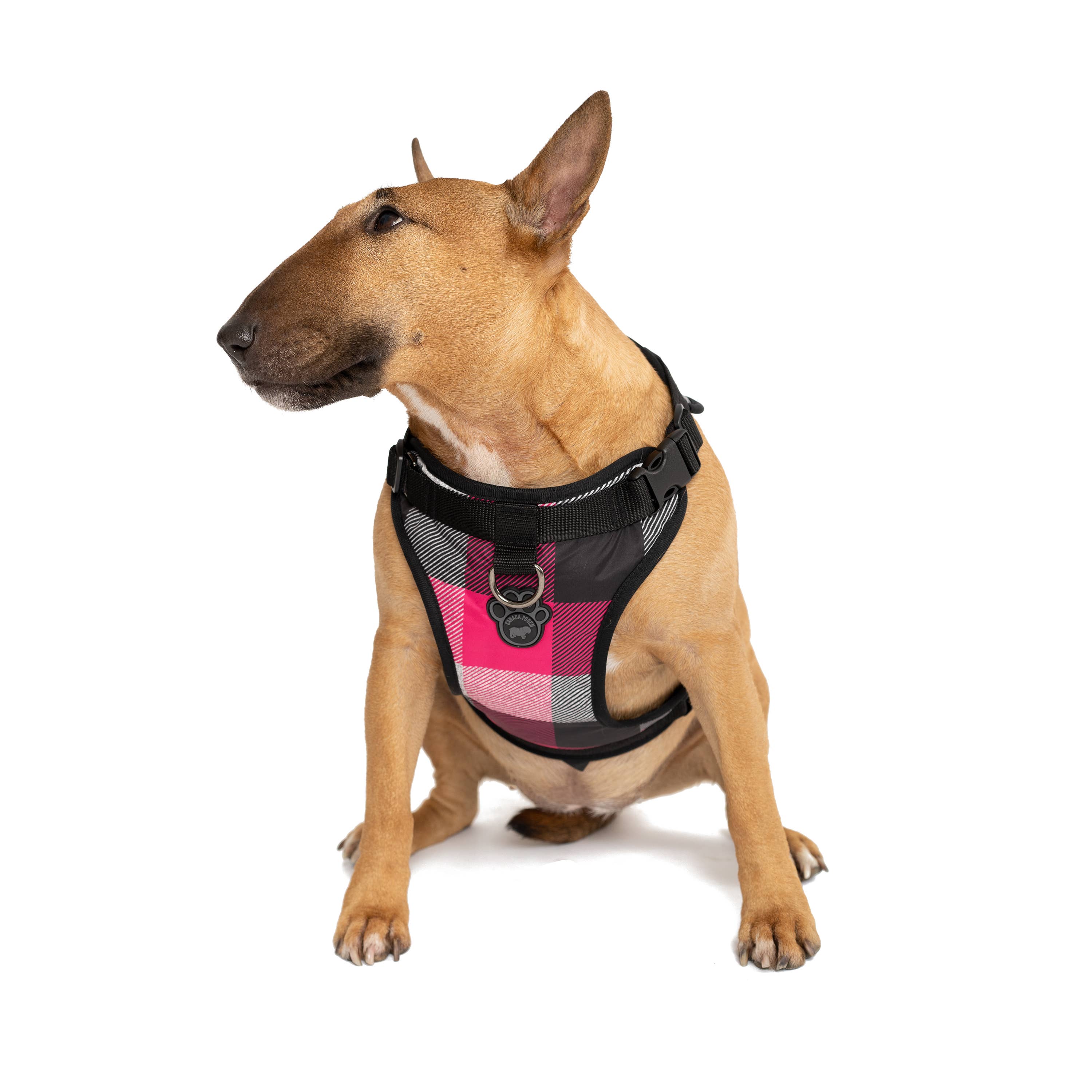 Canada Pooch – wholesale Pet harness – Dog – Everything Harness- No-Pull Dog Harness (Water Resistant)5