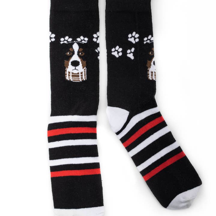 Bernese Mountain Dog Paws Socks for wholesale by Snow Business USA