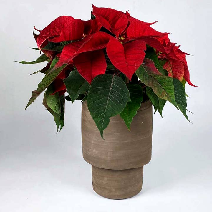 Greatceramics – Vaso por atacado – Vaso Banzai Naked |cerâmica | Pote vegetal |wabi sabi | Clay2