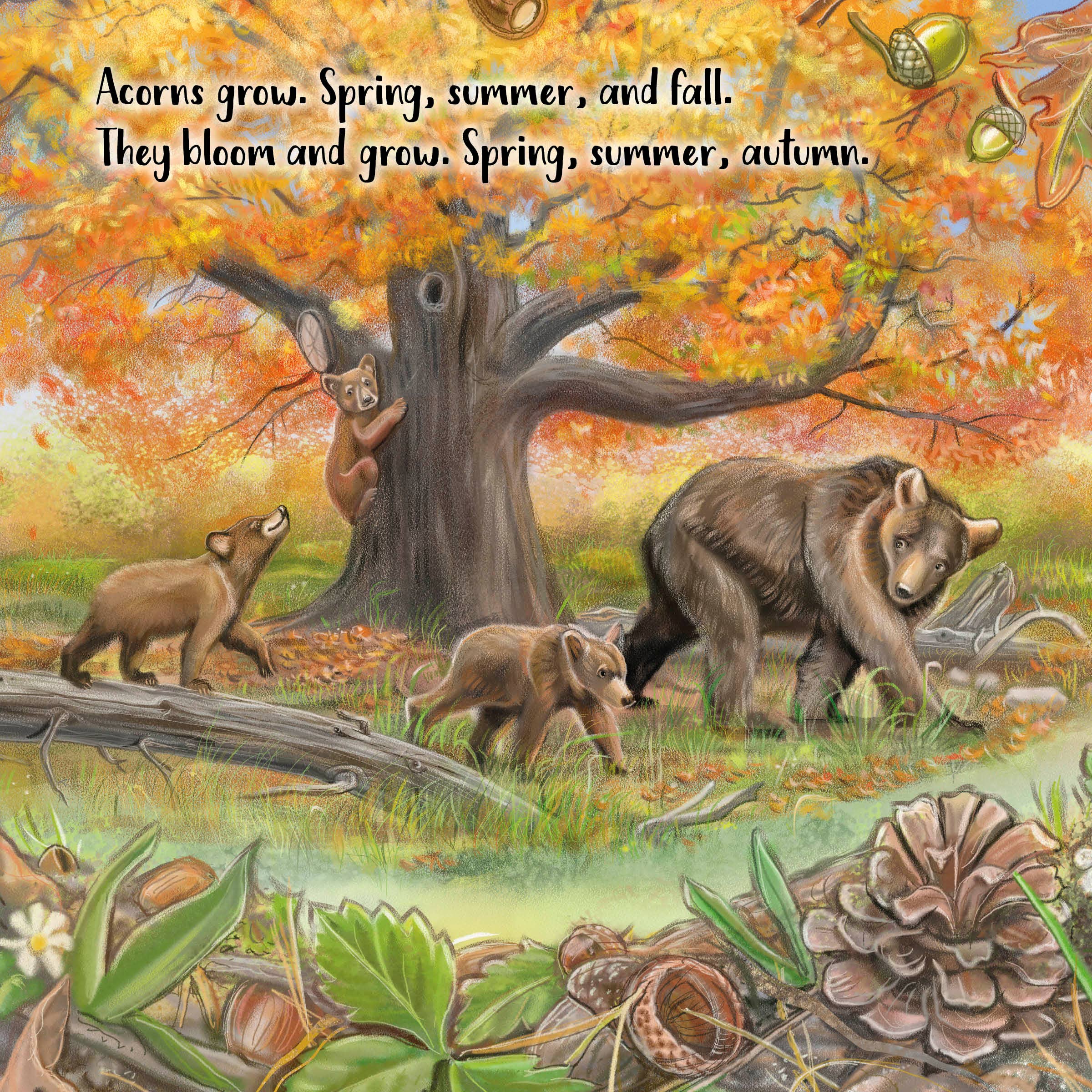 Schiffer Publishing - Wholesale Baby & Toddler Book (0-2) - The Tiniest Giant3