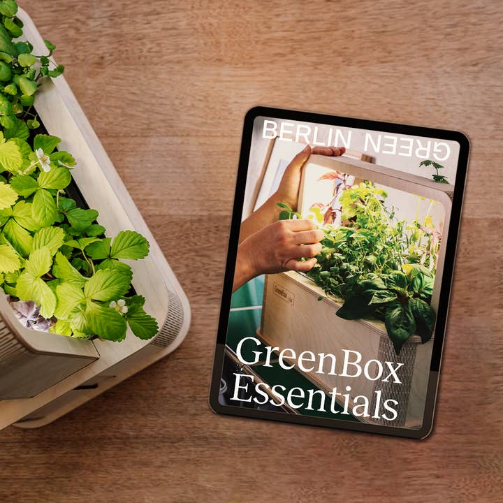 BerlinGreen – Großhandel Buch – Erwachsene – GreenBox Essentials E-book