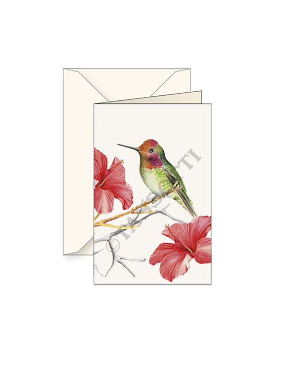 Freund Mayer & Co. – wholesale Anteckningsbok – Presentförpackningskort med kuvert 3x4"-Multi mönster3