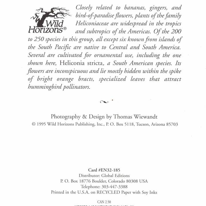 Wild Horizons Productions - Wholesale Stationery/Notecard Set - Notecard +Envelope: Tropical Flowers, Heliconia1