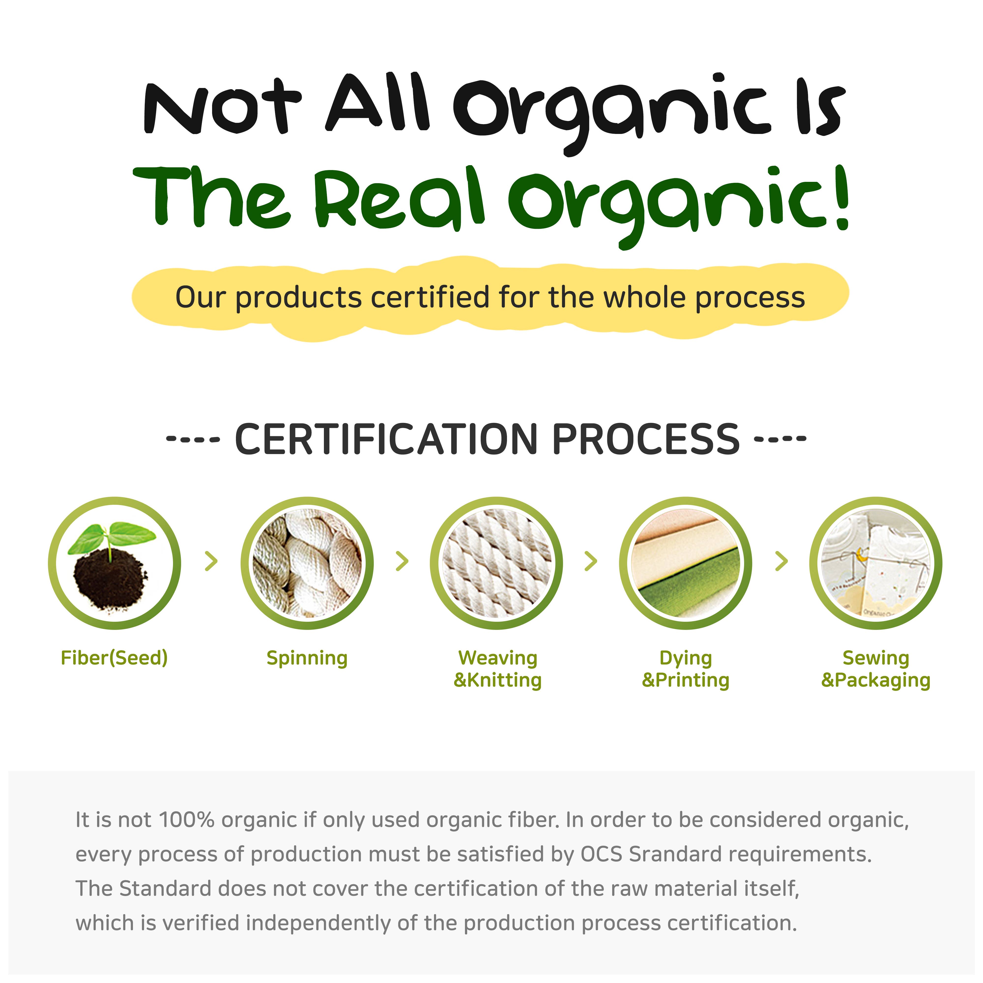 WithOrganic - Wholesale Sleepwear Set - Kids - Organic Pajama Set with Matching Security Doll - Dinosaur7