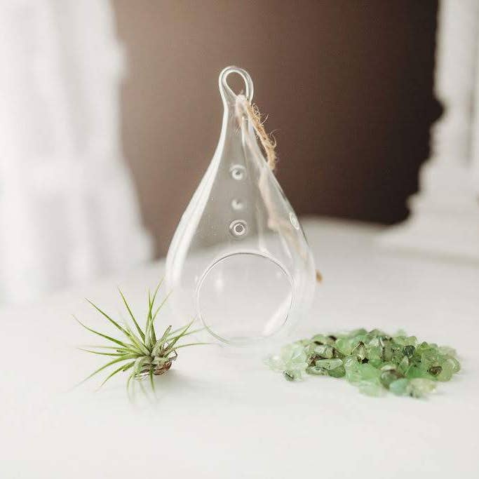 Kit de terrarium en forme de poire - Pierre semi-précieuse pour la vente par The Simply Crafty Shop