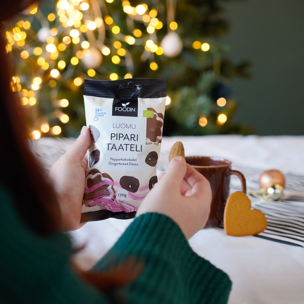 Foodin – wholesale Fruit snacks – Gingerbread date, organic 170 g1