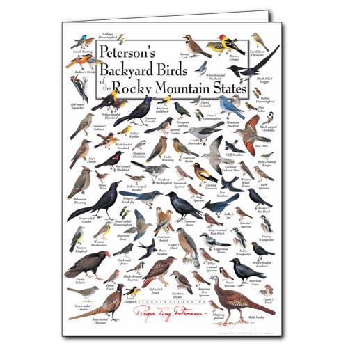 Peterson's Backyard Birds of the Rocky Mtn. for wholesale by Earth Sky + Water