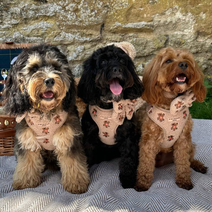 Cocopup London - Wholesale Pet Harness - Dog - Theo Embroidered Teddy Adjustable Neck Harness15