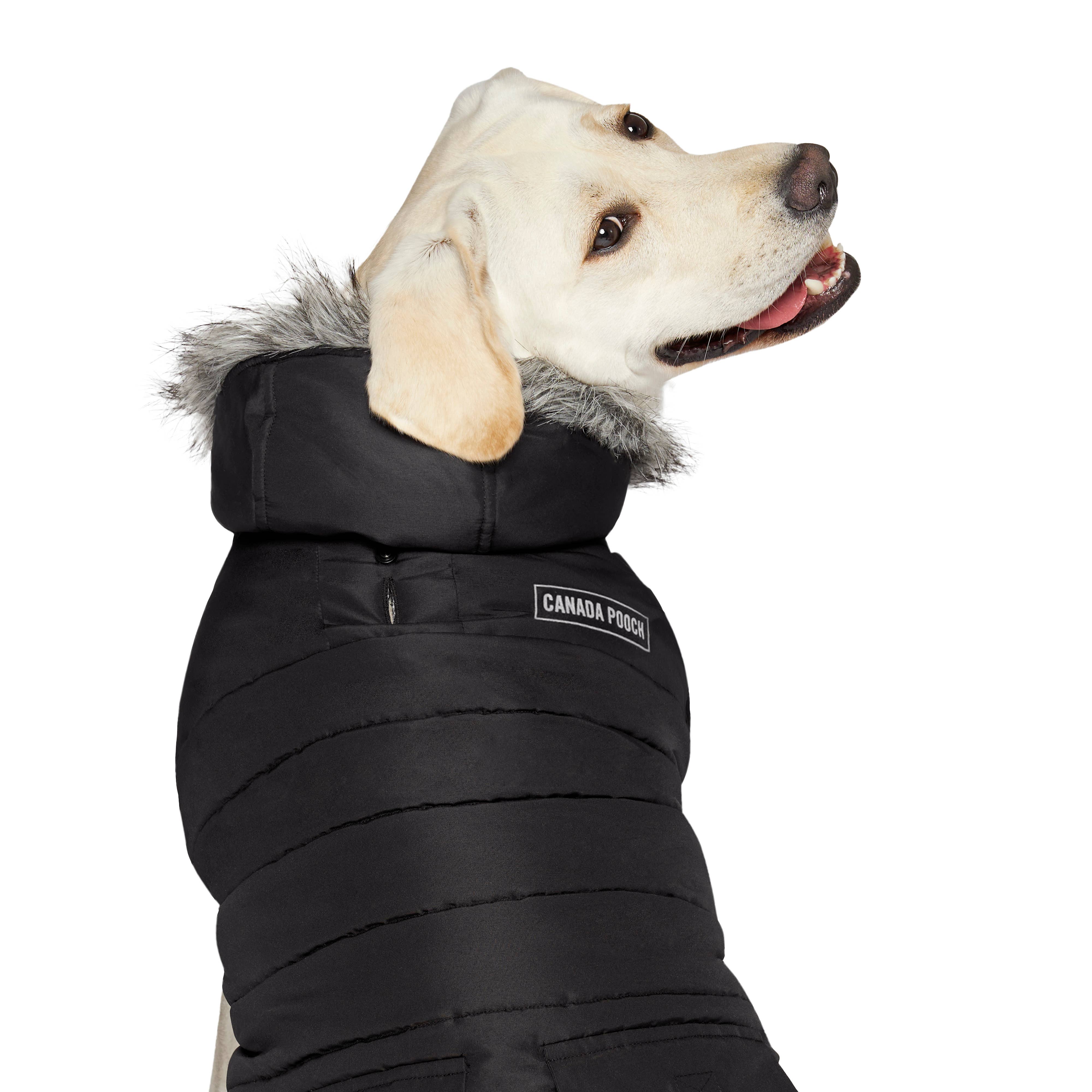 Canada Pooch - Vendita all'ingrosso Cappotto - Cani - Parka invernale True North per cani16