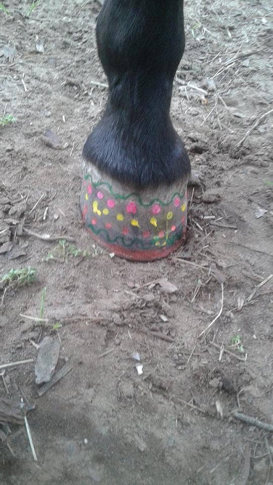 Warren London Dog Products – Großhandel Haustierpflegeset – Hund – Pawdicure Nagellack Pen - Quick Dry - 13 Farben29