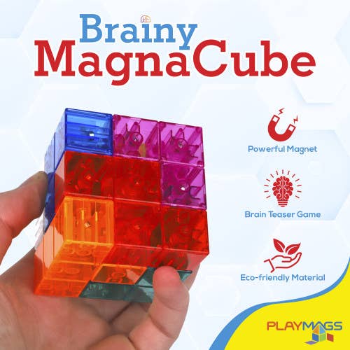 The Toy Group - Wholesale Building Set - Kids - Playmags Brainy with Brainy Challenge Cards, Building Blocks