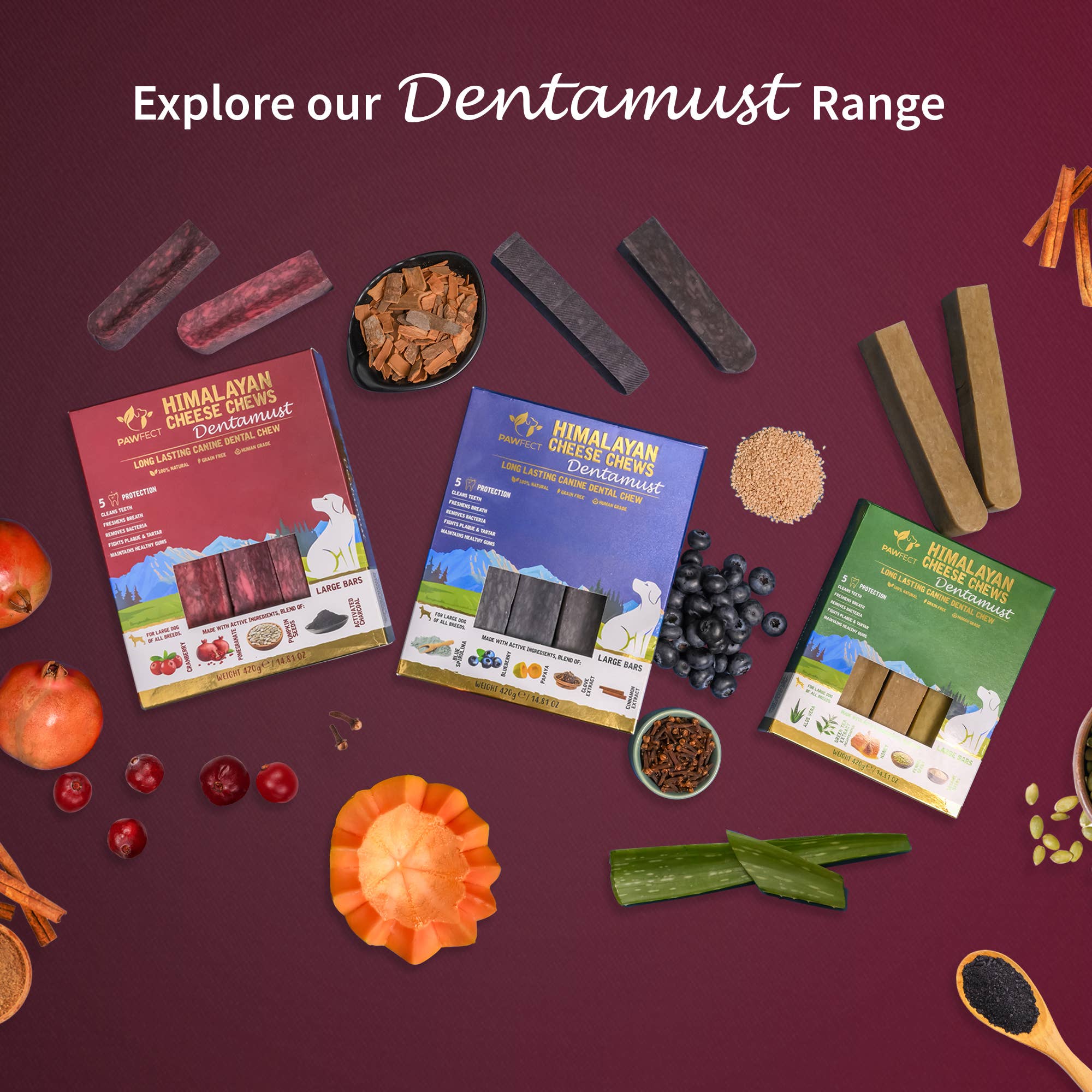Pawfect Foods - Wholesale Pet Treats - Dog - Pawfect Dentamust Himalayan Cheese Chew with Cranberry & Pomegranate for Dogs|Long lasting dental chews with Superfoods| All Natural, High protein|Grain-free | Pack of 1 for Medium Dogs (70g/2.47oz)5
